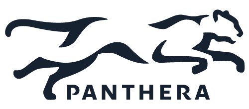 Information System & Intelligence Officer